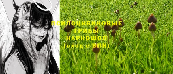 трава Сосновый Бор