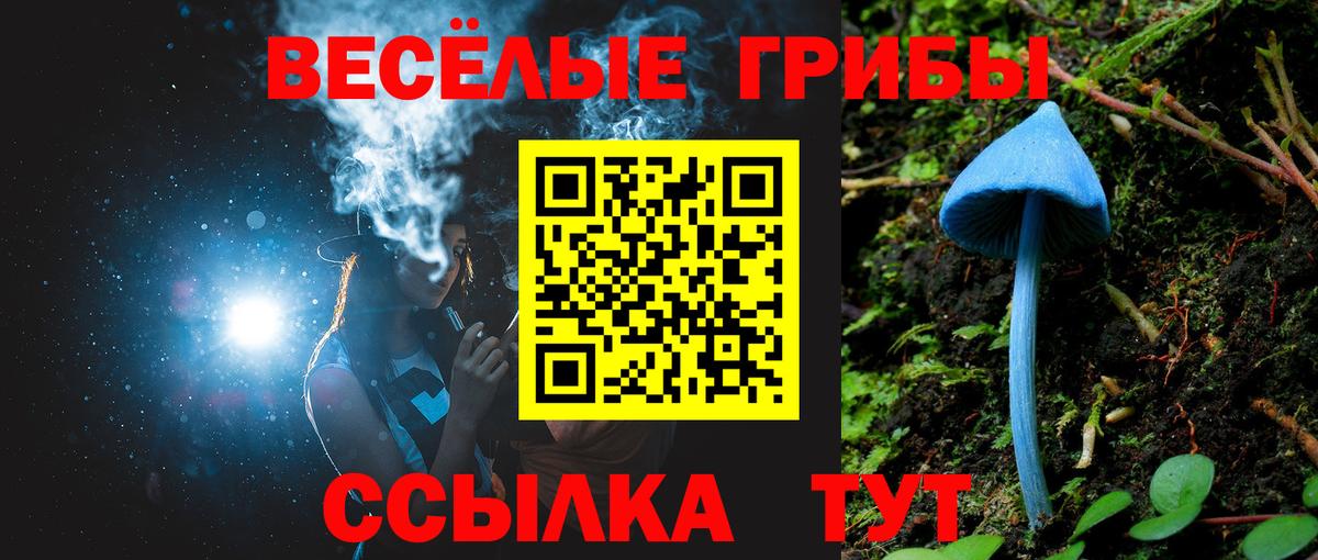 Псилоцибиновые грибы Psilocybine cubensis Луховицы