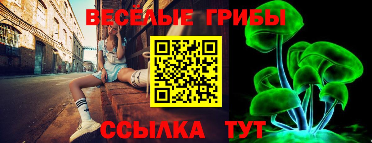 Луховицы  Псилоцибиновые грибы прущие грибы  где найти наркотики  Вход с VPN 